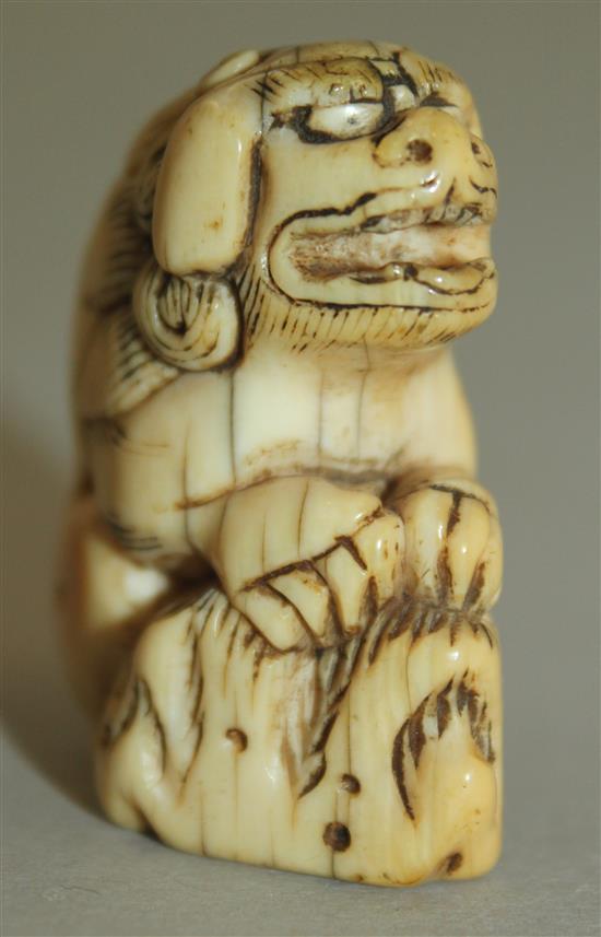 A Japanese ivory netsuke of a shi-shi, Edo period, 3.6cm